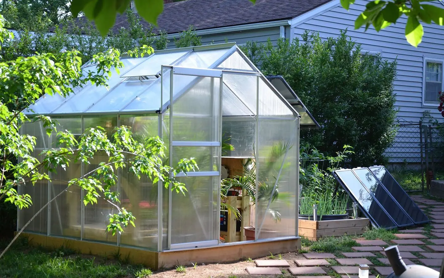 Best Position for a Greenhouse - DiBiBi Garden Greenhouse